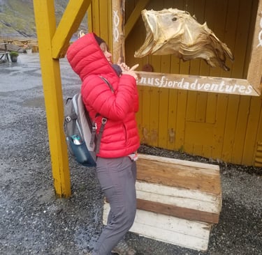 Voyage aux îles Lofoten