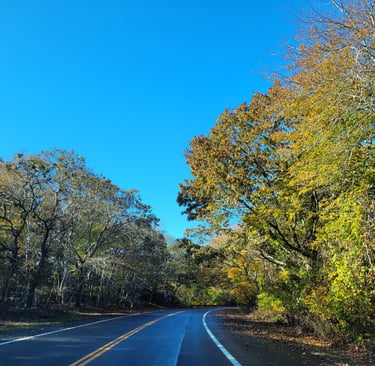 Route du Cape Cod