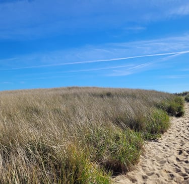 Cape Cod national seashore