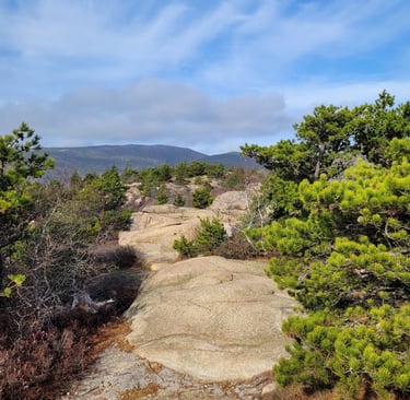 Acadia NP