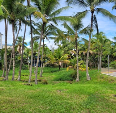 Big Island Hawaï