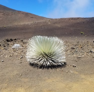 Haleakala NP