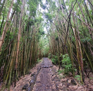 Pipiwail trail Maui
