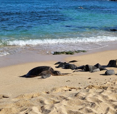 Ho’okipa beach