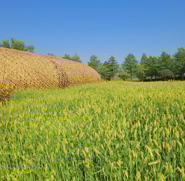 Suncheon Bay Garden
