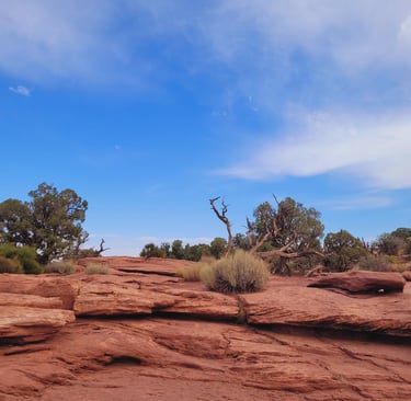 Capitol Reef National Park