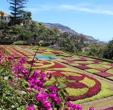 Camara dos Lobos