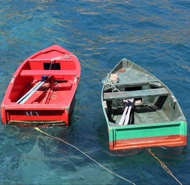 Camara dos Lobos