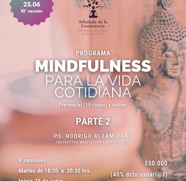 afiche del programa de mindfulness que incluye la imagen de un budda