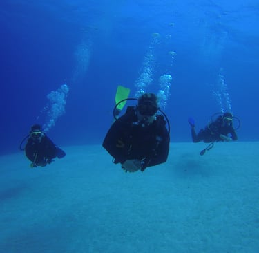 a group of scuba divers in the sea