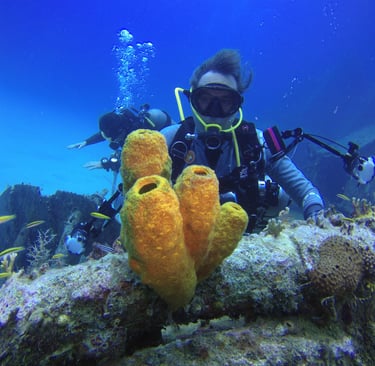 Buceo en arrecife en Punta Cana