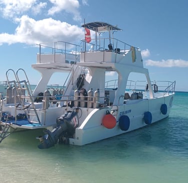 barco para buceo en Bayahibe