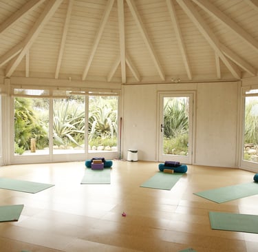 Yoga studio with mats.