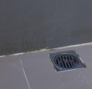 Floor drain biofilm cleaning