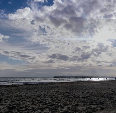 14 Liebe – Freiheit – Optionen