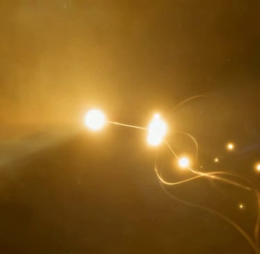 27 Das Netz der Geschichte