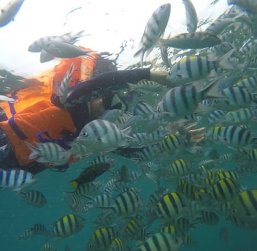 Snorkling Gili Nanggu