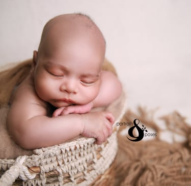 newborn and family photography bexley
