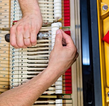 Accordeur de de pianos Lyon- finitions- Harmonisation Steinway