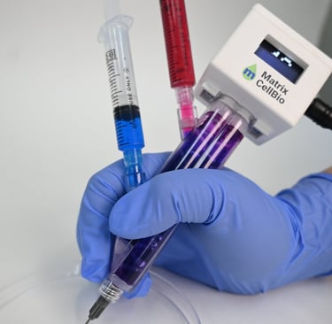 bioprinting pen with needle