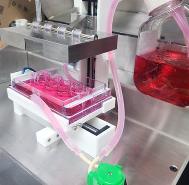 bioreactor, compression bioreactor, biomimetics