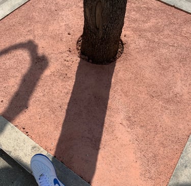 aiuola ricoperta di cemento in piazza castello a monteparano