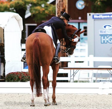 Lisa Wilcox finishing a Grand Prix test on a tall chestnut gelding