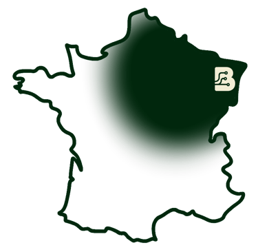 Robots de nettoyage professionnels – Carte Botbot Grand Est