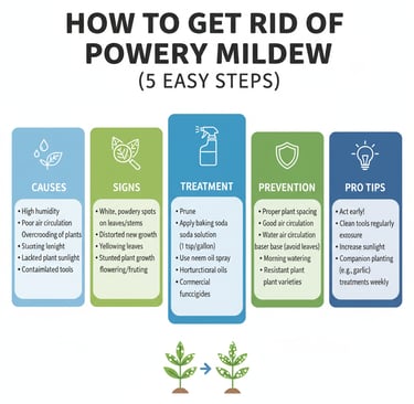 How to Get Rid of Powdery Mildew (5 Easy Steps)