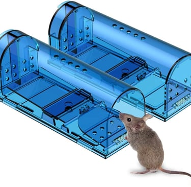 Humane Multi-Catch Live Trap