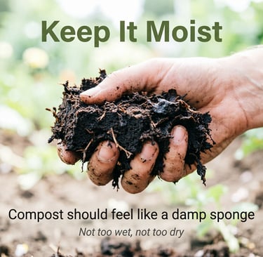 Keep It Moist