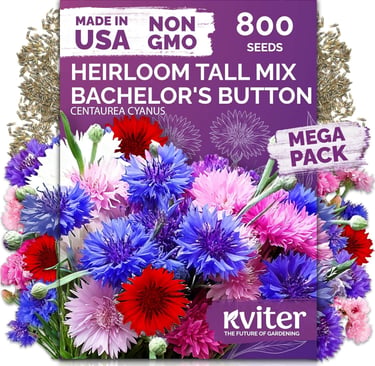 KVITER 800 Mix Bachelor Button Seeds