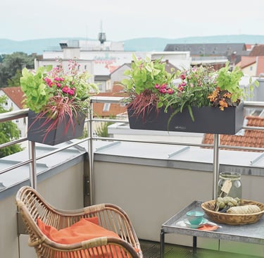 LECHUZA Self-Watering Planters