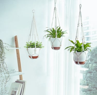 Mkono Self-Watering Plastic Planters