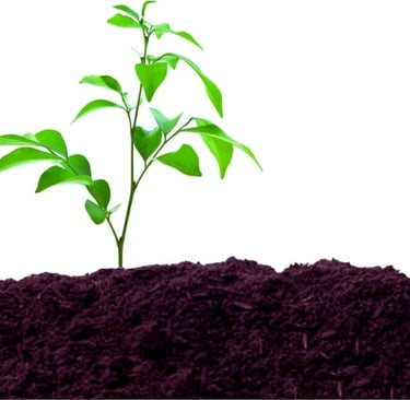 best organic gardening supplies