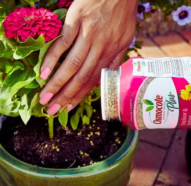 Organic Slow-Release Fertilizer