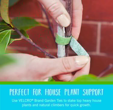 Soft Plant Tie Tape