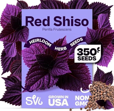 SVI 350 Red Shiso Seeds