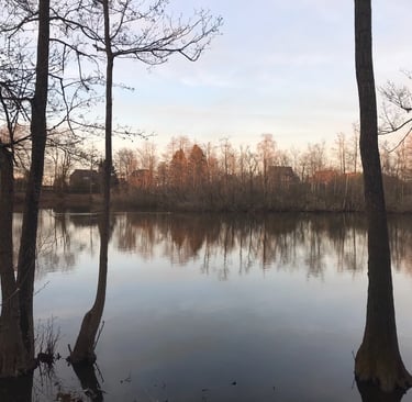 Thorsberger moor
