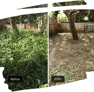 Overgrown garden cleared with green waste removed in County Durham