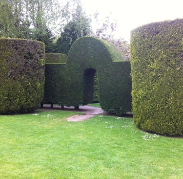 hedge trimming newcastle upon tyne