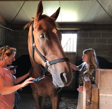 hypothérapie à Namur