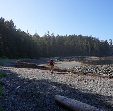 a person walking on a beach next to a body of water