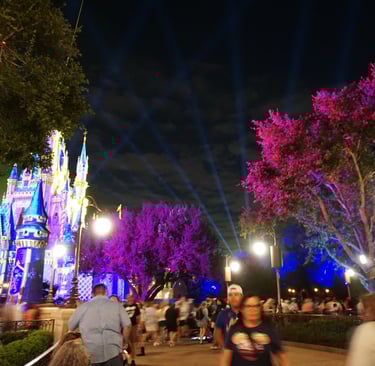 Disney World after dark
