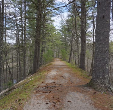Explore the local areas