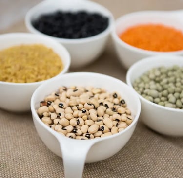a variety of beans and beans in a row of four bowls. Lentils from Castelluccio di Norcia