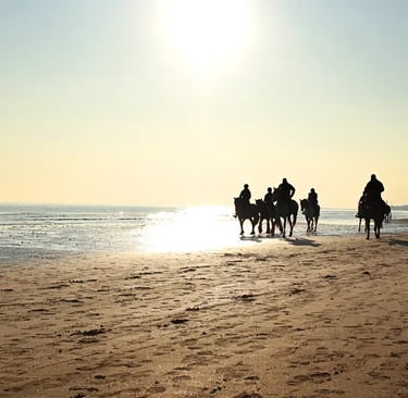 Oasi di Vallevecchia Brussa Beach with dunes and lagoon near Caorle Venice Veneto