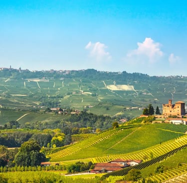 View of Alba Piedmont with medieval towers and historic rooftops
