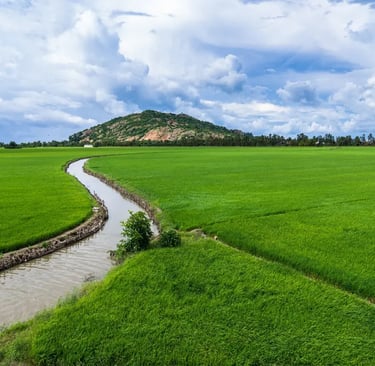 Traditional Irrigation: Italy’s Flowing