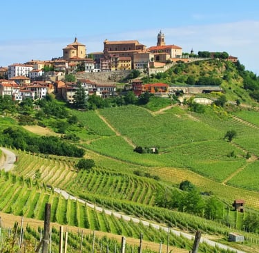 Panoramic view of vineyards from Belvedere terrace in La Morra Piedmont